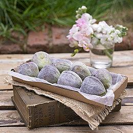 Capcom将在大阪建新基地 强化游戏研发能力、继续支持RE引擎